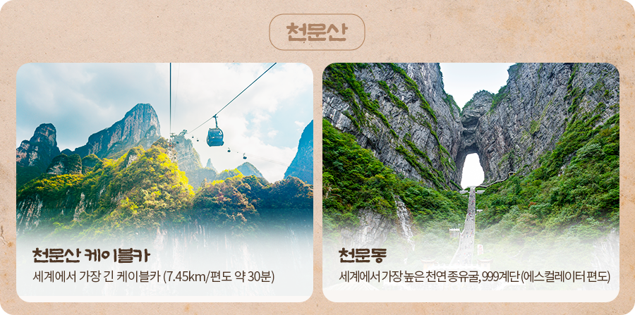 고흐아를